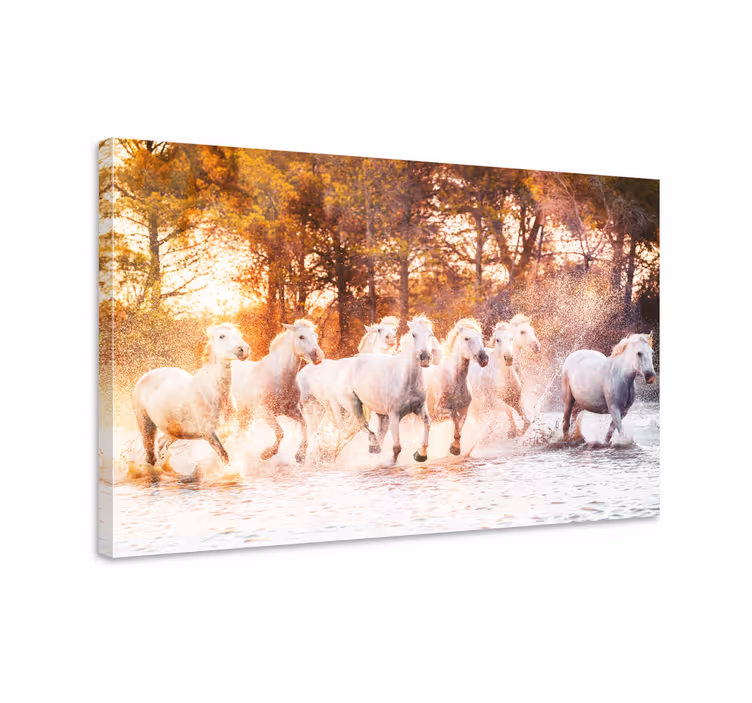 Tableau chevaux vue de coucher de soleil chaud - TenStickers