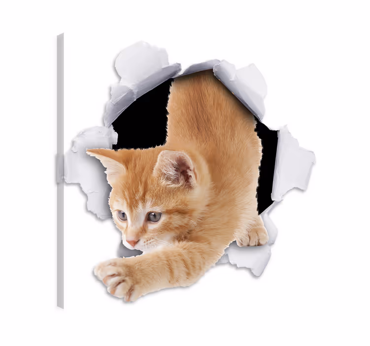 Tableau chat trompe-l'œil décoratif félin - TenStickers