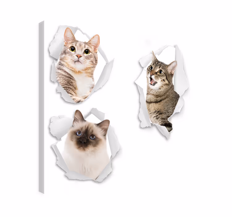 Tableau chat illusion de chatons - TenStickers