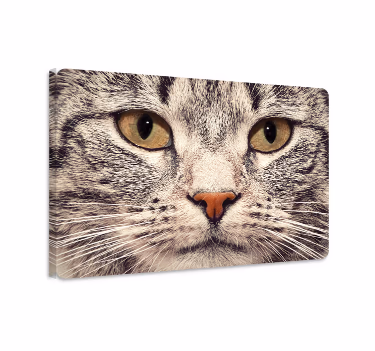 Tableau chat autocollant visage de chat pour ordinateur - TenStickers