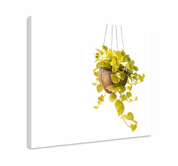 Tableau fleurs et plantes arrangement de verdure suspendu - TenStickers