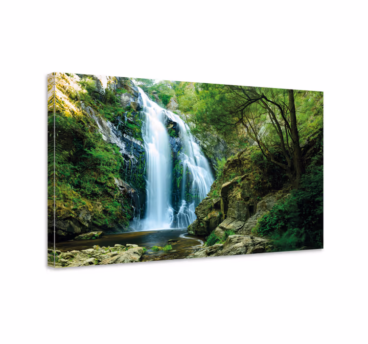 Tableau arbre de vie Cascade en forêt - TenStickers