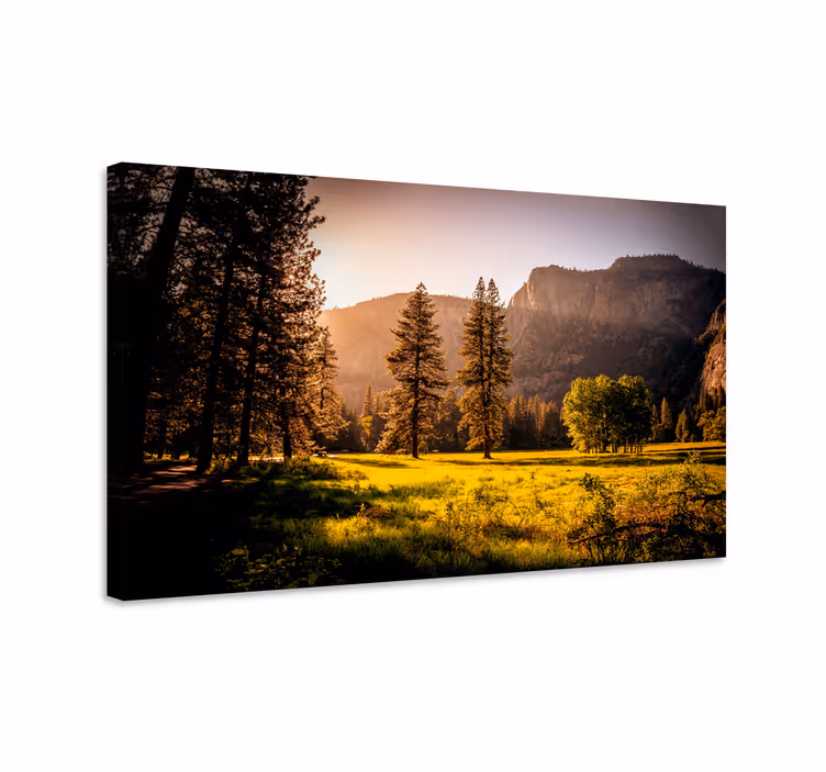 Tableau paysage forêt dorée au soleil - TenStickers