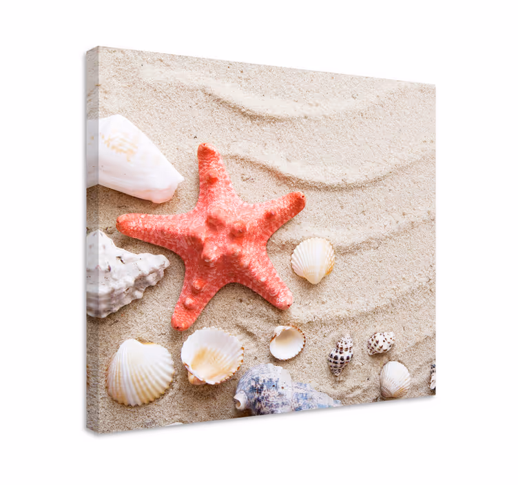 Tableau étoile de mer et coquillages  - TenStickers