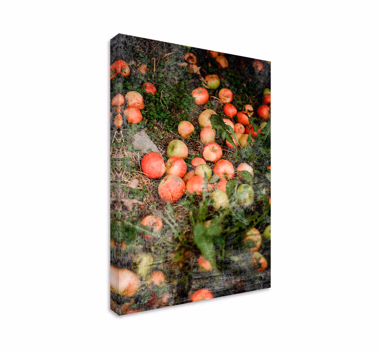 Tableau fruits pommes tombantes - TenStickers