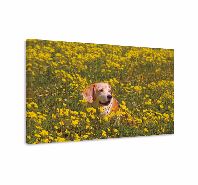 Tableau chiens heureux toutou en plein air - TenStickers