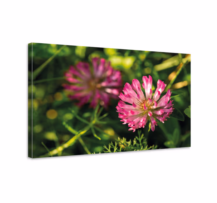 Tableau fleurs et plantes regroupement de fleurs roses - TenStickers
