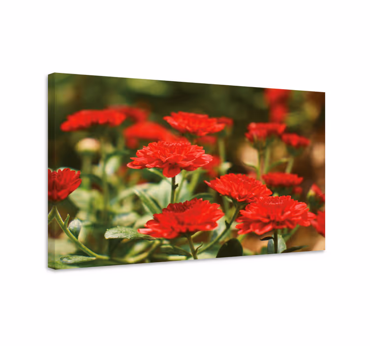 Tableau fleurs et plantes fleurs rouges en éclosion - TenStickers