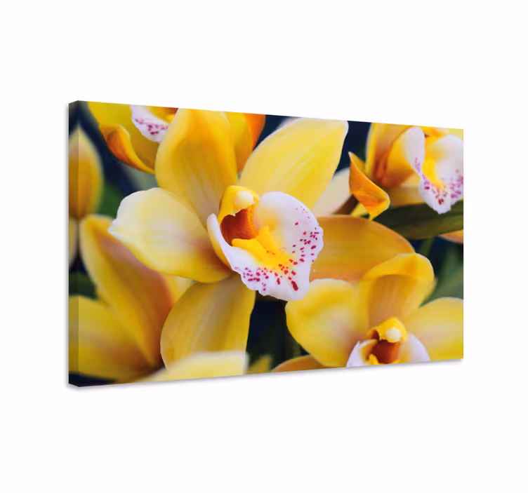Tableau fleurs et plantes fleurs d'orchidée vibrantes - TenStickers