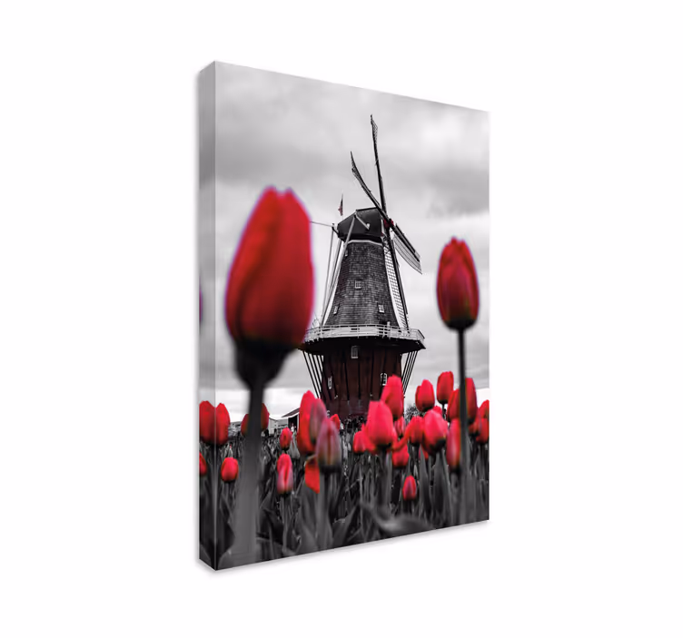 Tableau paysage moulin et tulipes - TenStickers