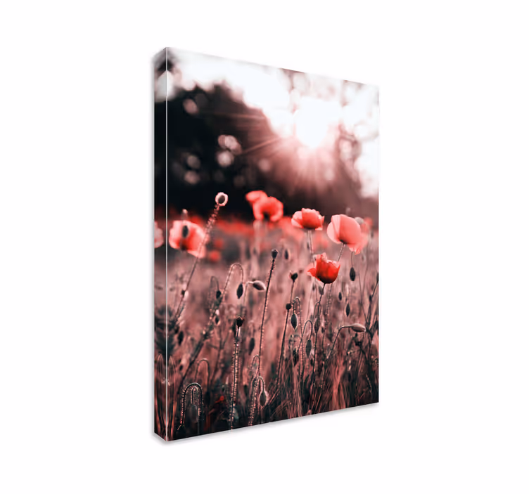 Tableau fleurs et plantes Éclat de pavot meadow - TenStickers
