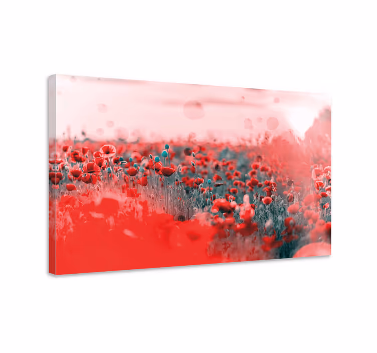 Tableau fleurs champ de coquelicots vivant - TenStickers