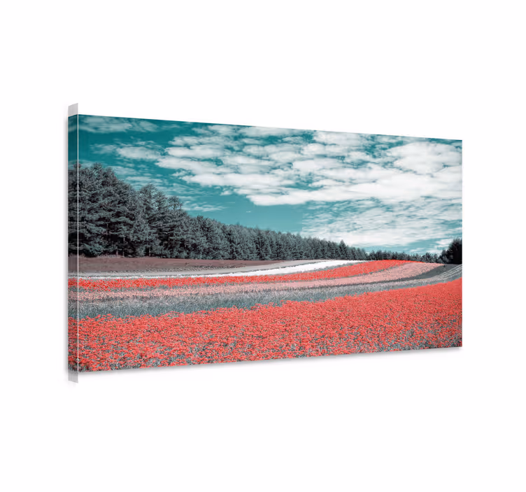 Tableau paysage champ de fleurs vibrantes - TenStickers