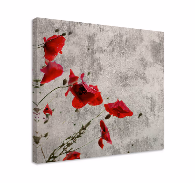 Tableau fleurs et plantes fleurs de pavot rouge - TenStickers