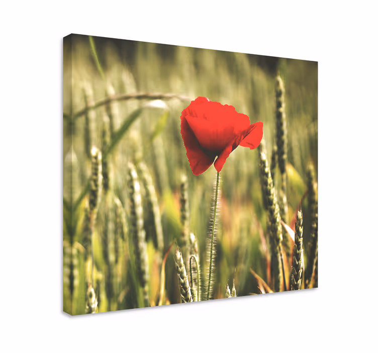 Tableau fleurs et plantes Éclosion de fleurs rouges - TenStickers