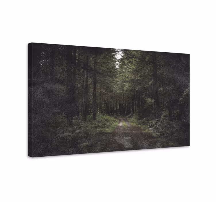 Tableau paysage chemin forestier sérénité - TenStickers