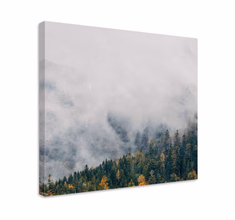 Tableau arbres paysage de forêt brumeux - TenStickers