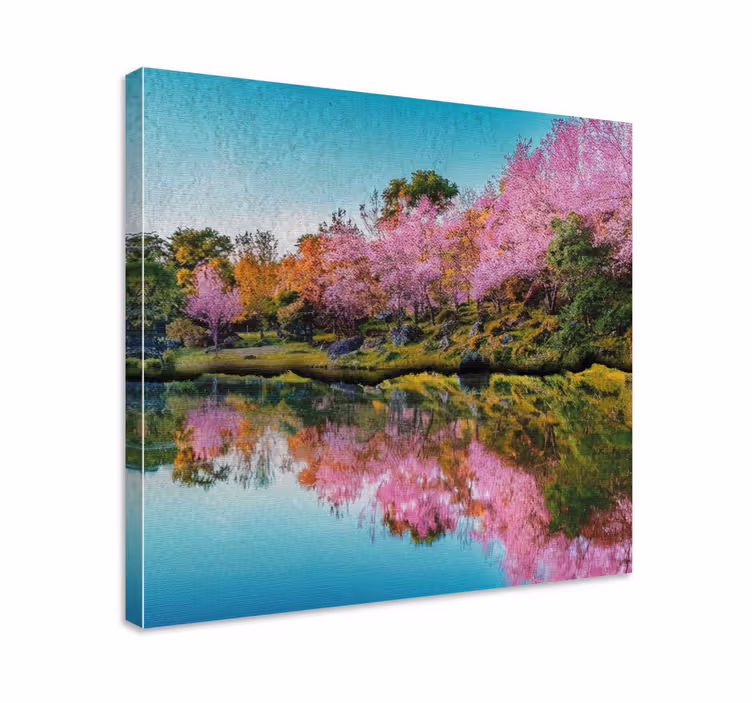 Tableau paysage reflet de fleur de cerisier - TenStickers