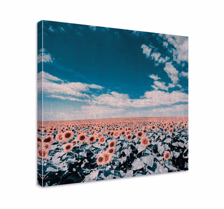 Tableau fleurs et plantes horizon du champ de tournesols - TenStickers