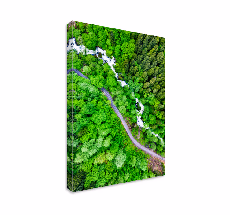 Tableau paysage rivière forestière sinueuse - TenStickers