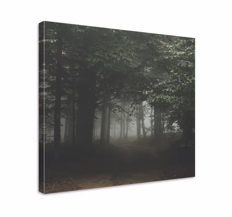 Tableau paysage sentier forestier voilé - TenStickers