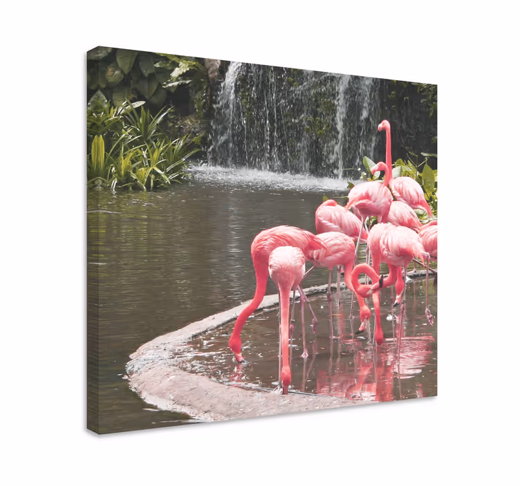Tableau oiseaux groupe de flamants piscine - TenStickers