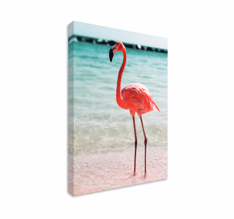 Tableau oiseaux posture élégante de flamant - TenStickers