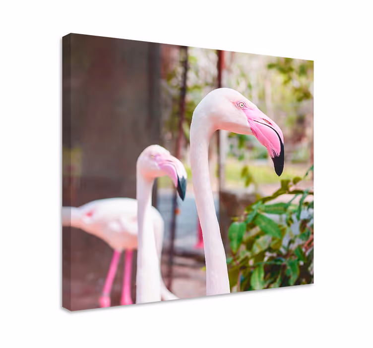 Tableau oiseaux flamants élégants ensemble - TenStickers