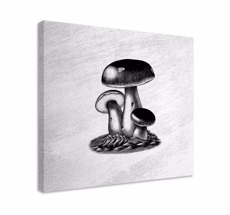 Tableau fleurs et plantes trio de champignons - TenStickers