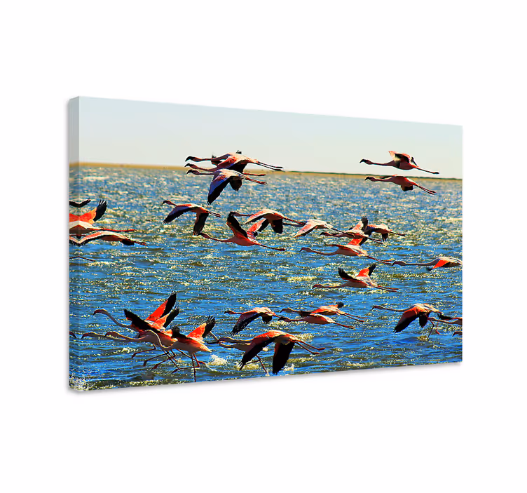 Tableau oiseaux flamants en vol - TenStickers
