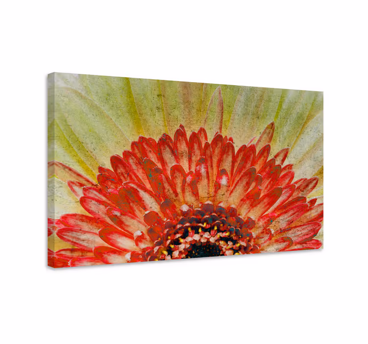Tableau fleurs et plantes détail floral vibrant - TenStickers