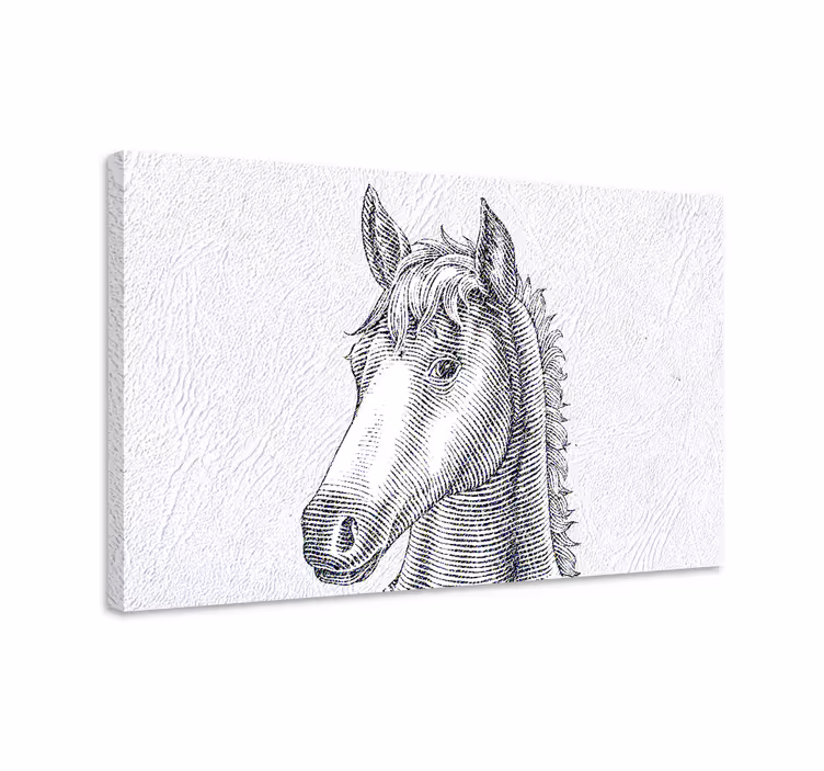 Tableau chevaux croquis élégant - TenStickers