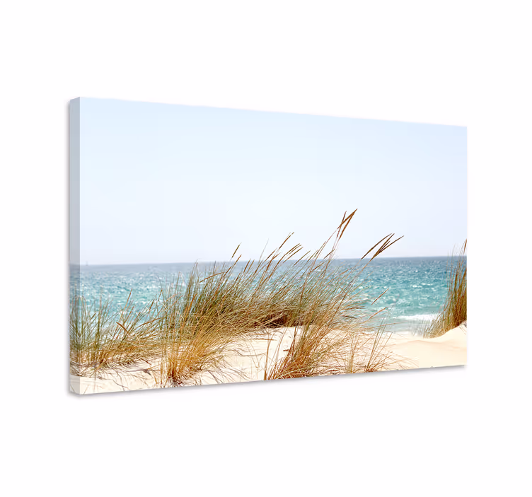 Tableau paysage vue sur les dunes côtières - TenStickers