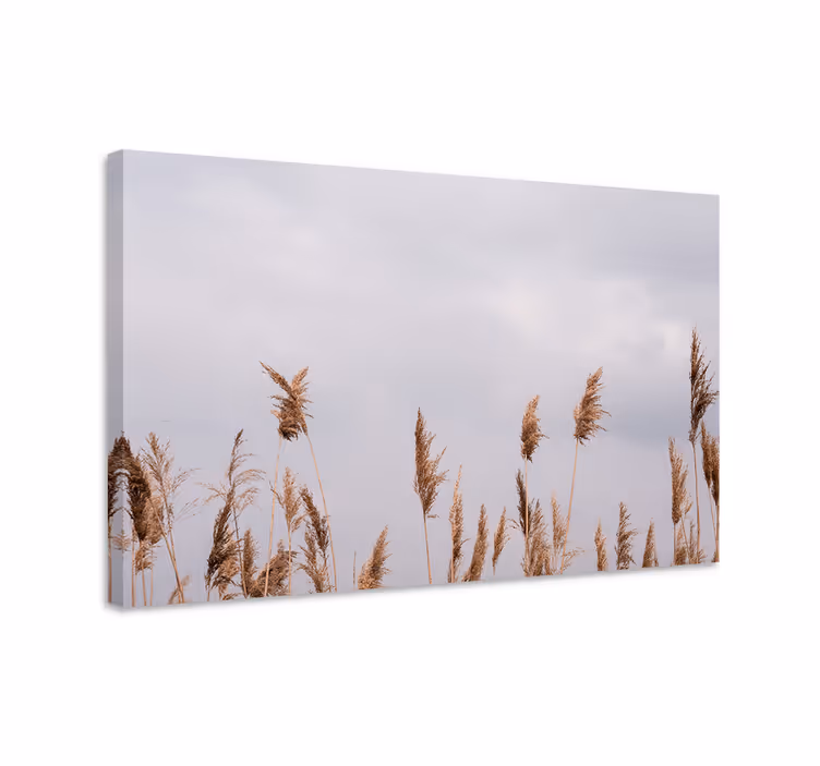 Tableau fleurs et plantes tiges d'herbe hautes - TenStickers