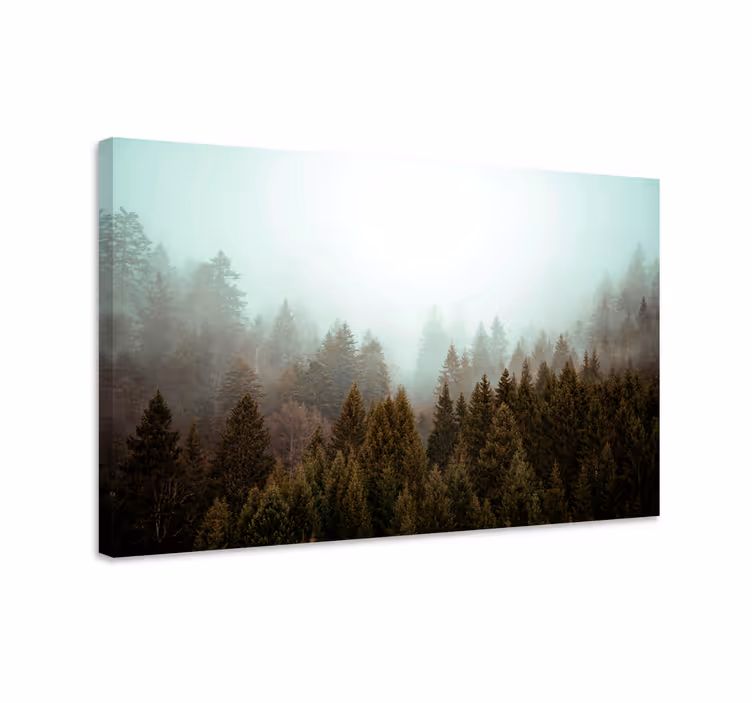 Tableau paysage vue sur la forêt brumeuse - TenStickers