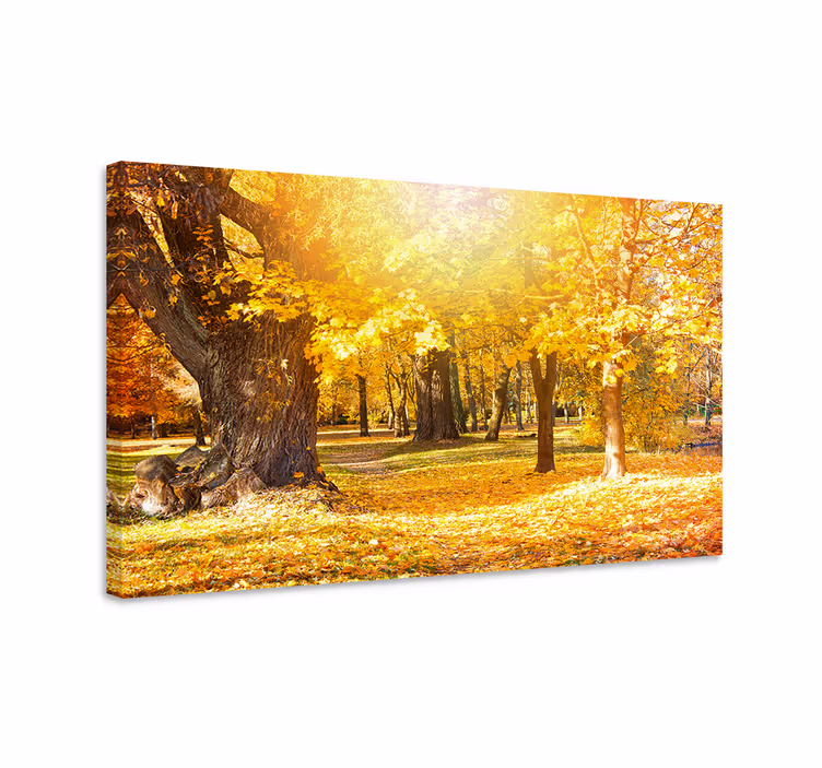 Tableau arbres sentier forestier d'automne - TenStickers