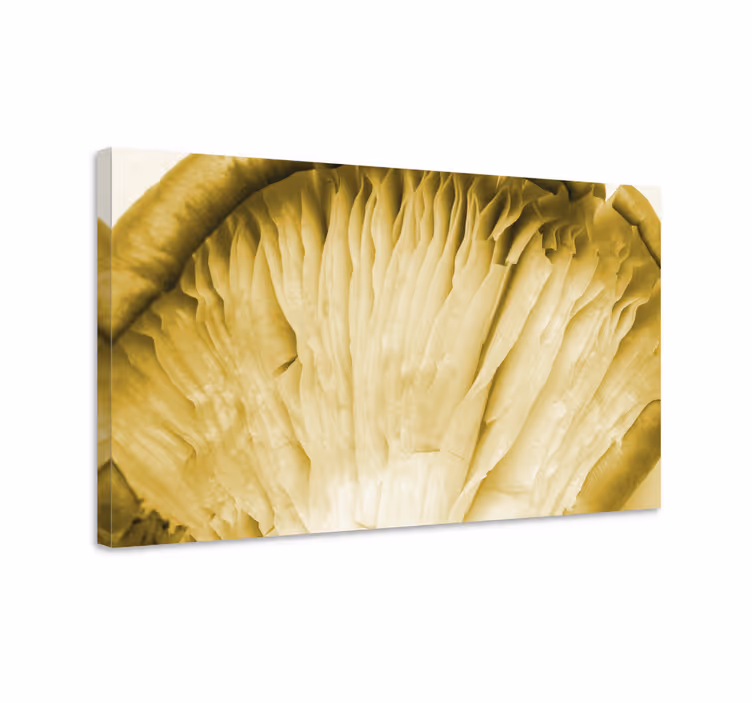 Tableau fleurs et plantes branchies de champignon - TenStickers