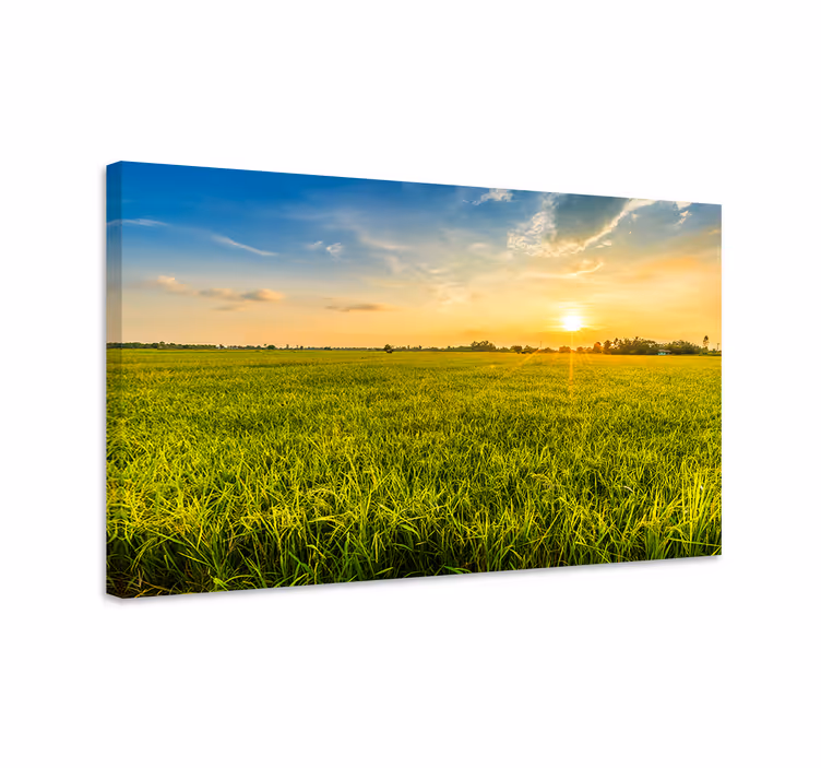 Tableau paysage coucher de soleil sur les champs - TenStickers