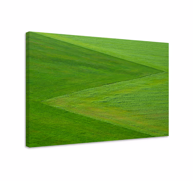 Tableau paysage terrain vert luxuriant - TenStickers