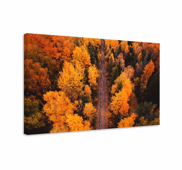 Tableau paysage chemin de feuillage d'automne - TenStickers