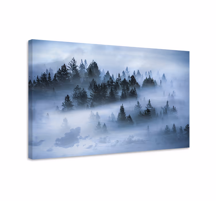 Tableau paysage forêt de pins brumeuse - TenStickers