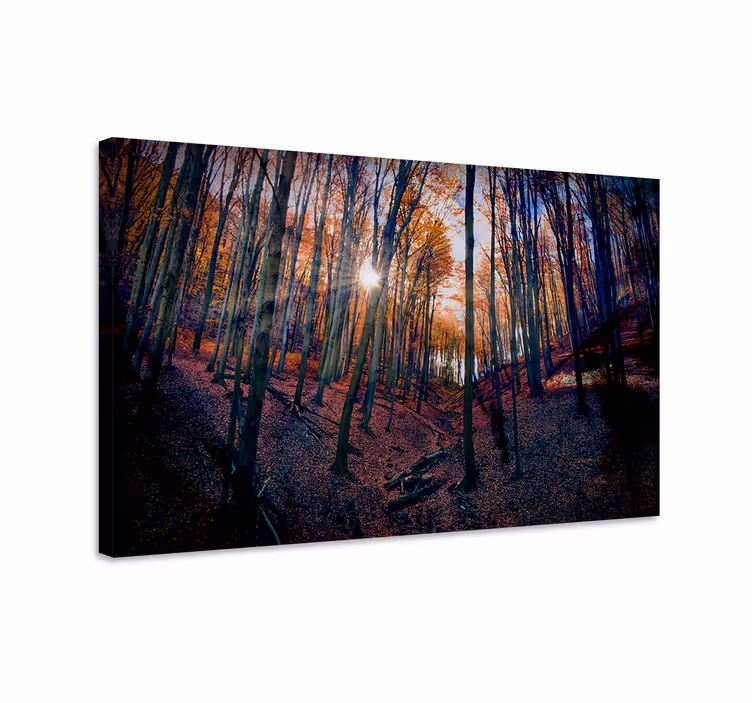 Tableau paysage Éclat de la forêt automnale - TenStickers