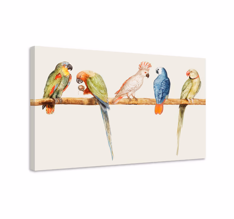 Tableau oiseaux collection de perroquets colorés - TenStickers