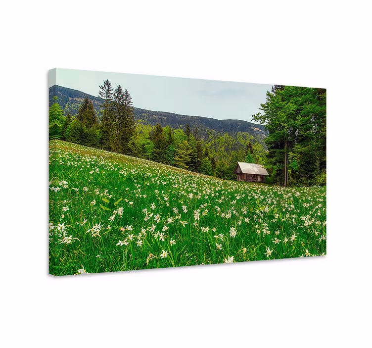 Tableau paysage cabane de campagne charmante - TenStickers