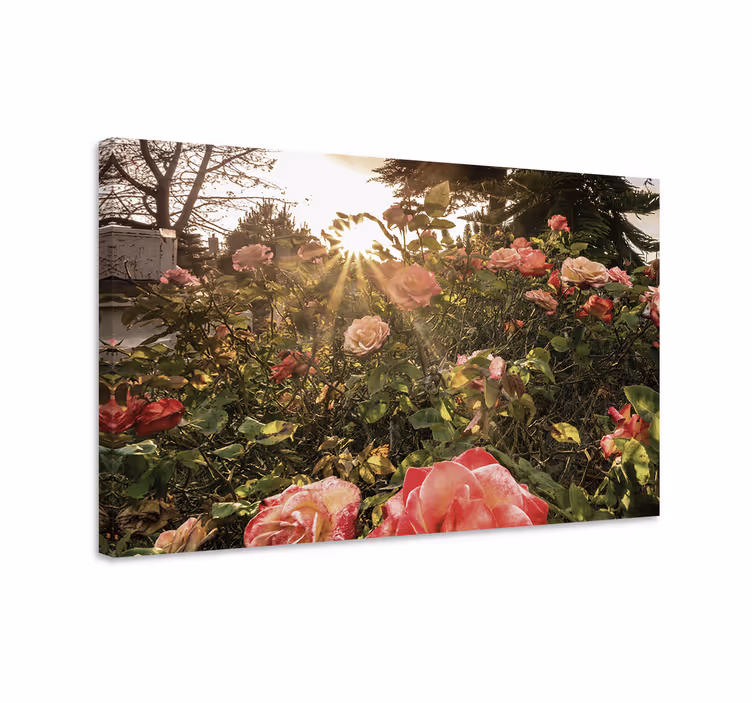 Tableau fleurs et plantes Éclat de roses - TenStickers
