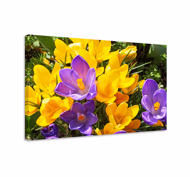 Tableau fleurs et plantes Éclosions printanières colorées - TenStickers