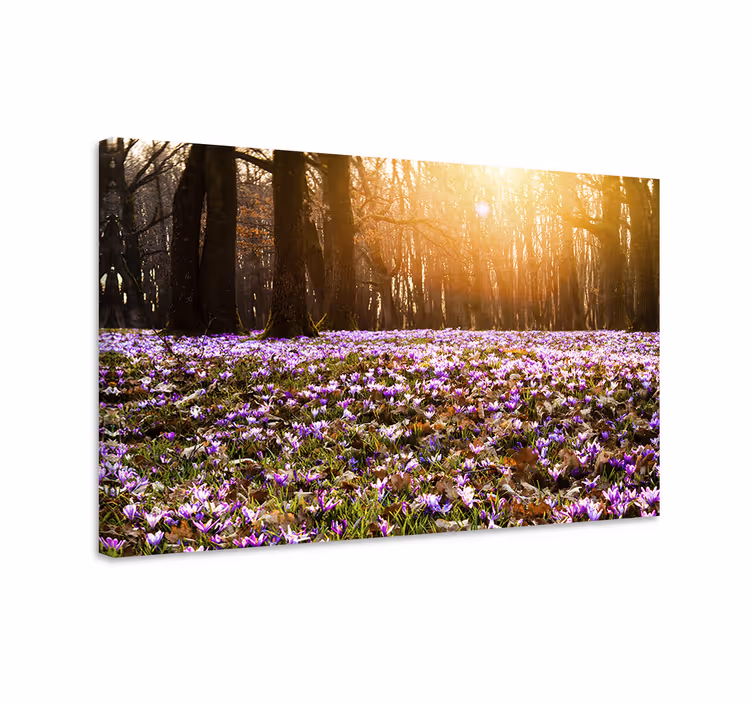 Tableau fleurs et plantes paysage printanier en fleurs - TenStickers