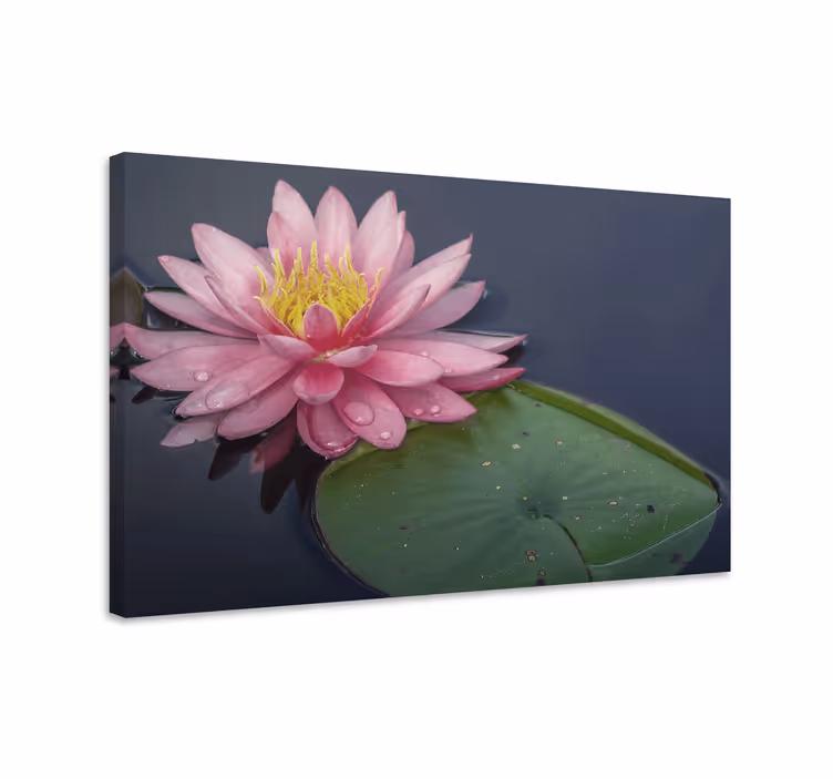 Tableau fleurs et plantes nénuphar en fleur - TenStickers