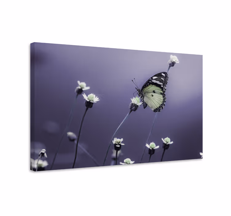 Tableau papillons parmi les fleurs - TenStickers