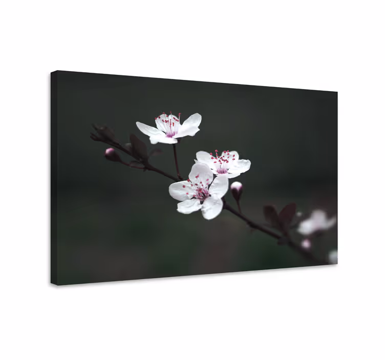 Tableau fleurs et plantes Éclosion de fleurs délicates - TenStickers
